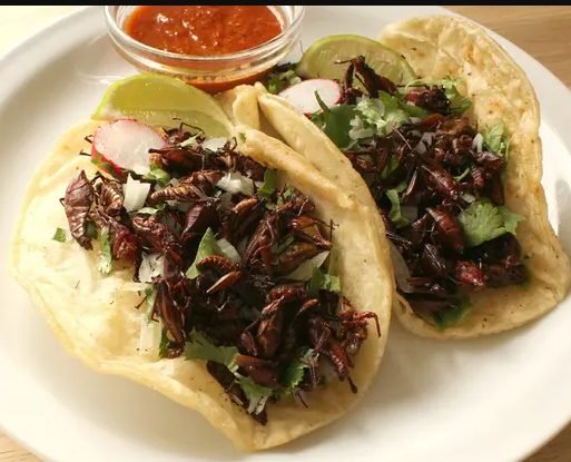 Grasshopper Tacos with Spicy Salsa