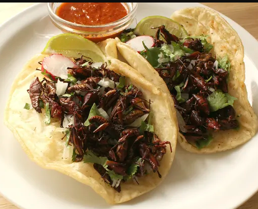 Grasshopper Tacos with Spicy Salsa