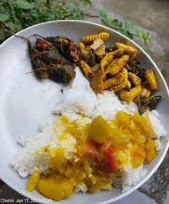 Silkworm Stirred Vegetable Rice