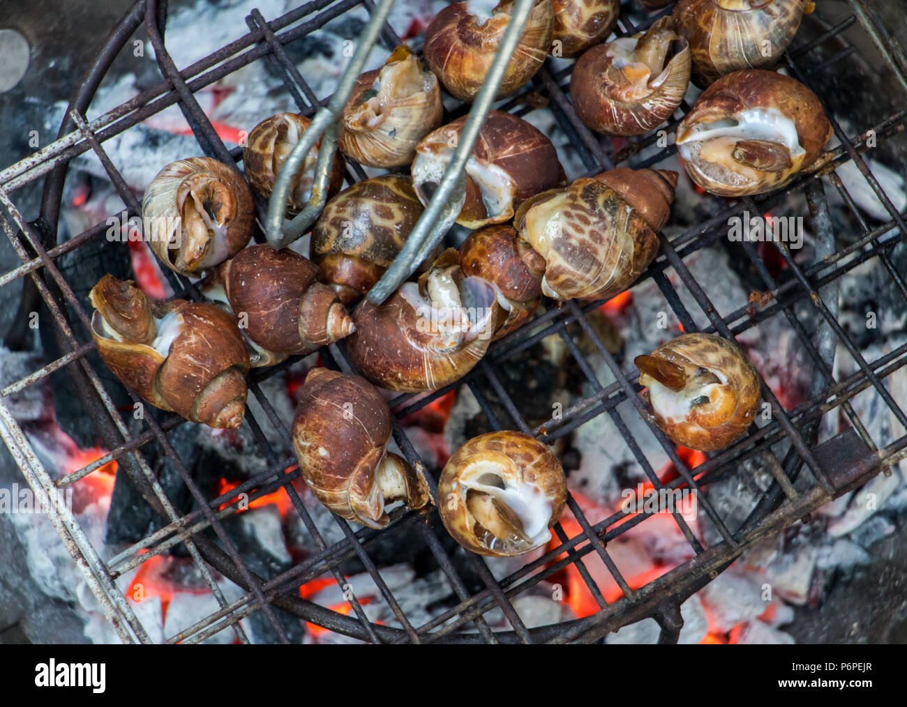 Grilled Snails |  Smoky and Savory Grilled Snail Recipe