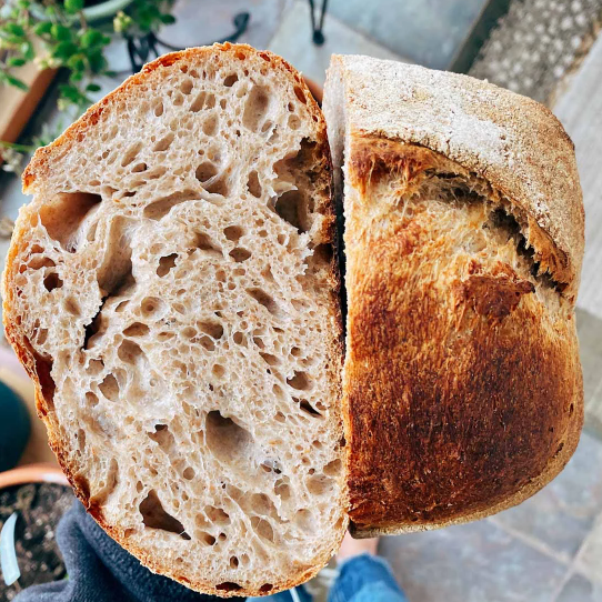 Homemade Sourdough Loaf | Crispy Crust & Tangy Artisan Bread Recipe