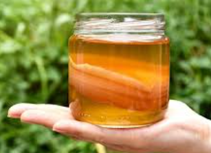 Kombucha (China)