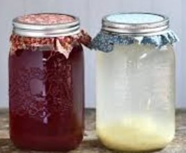 Ginger Bug Soda