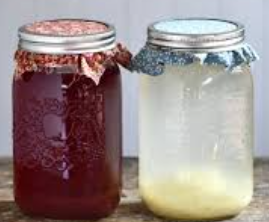 Ginger Bug Soda